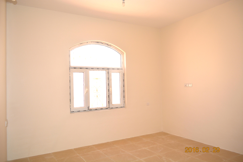 تضامن سيتي 1